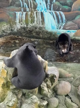 Miri Crocodile Farm and Mini Zoo Experience